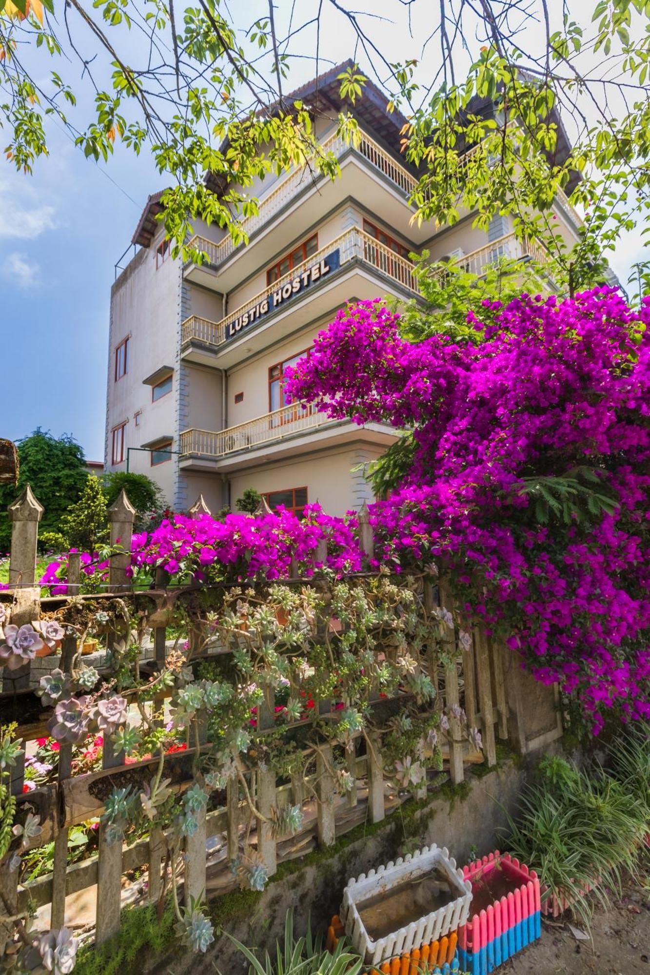 Lustig Hostel Sapa Εξωτερικό φωτογραφία